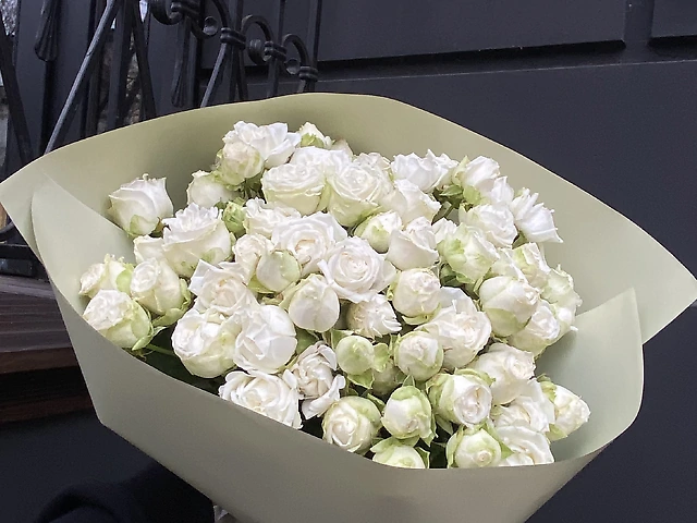 Біла бестія