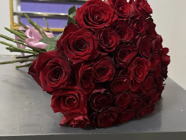 11 червоних  троянд