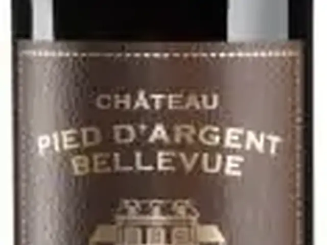 Вино Bordeaux Chateau Pied Dargent Bellevue Red сухе черв 12,5%,0,75 (корич.етик)