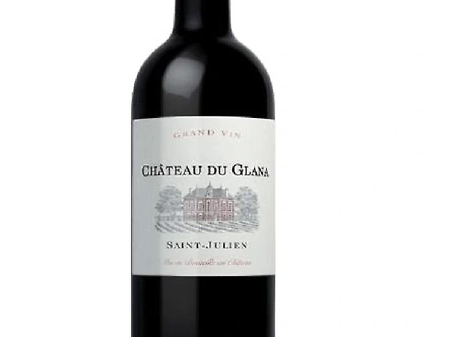 Вино Pavillon du Glana Saint-Julien черв. сухе 14,5% 0.75л