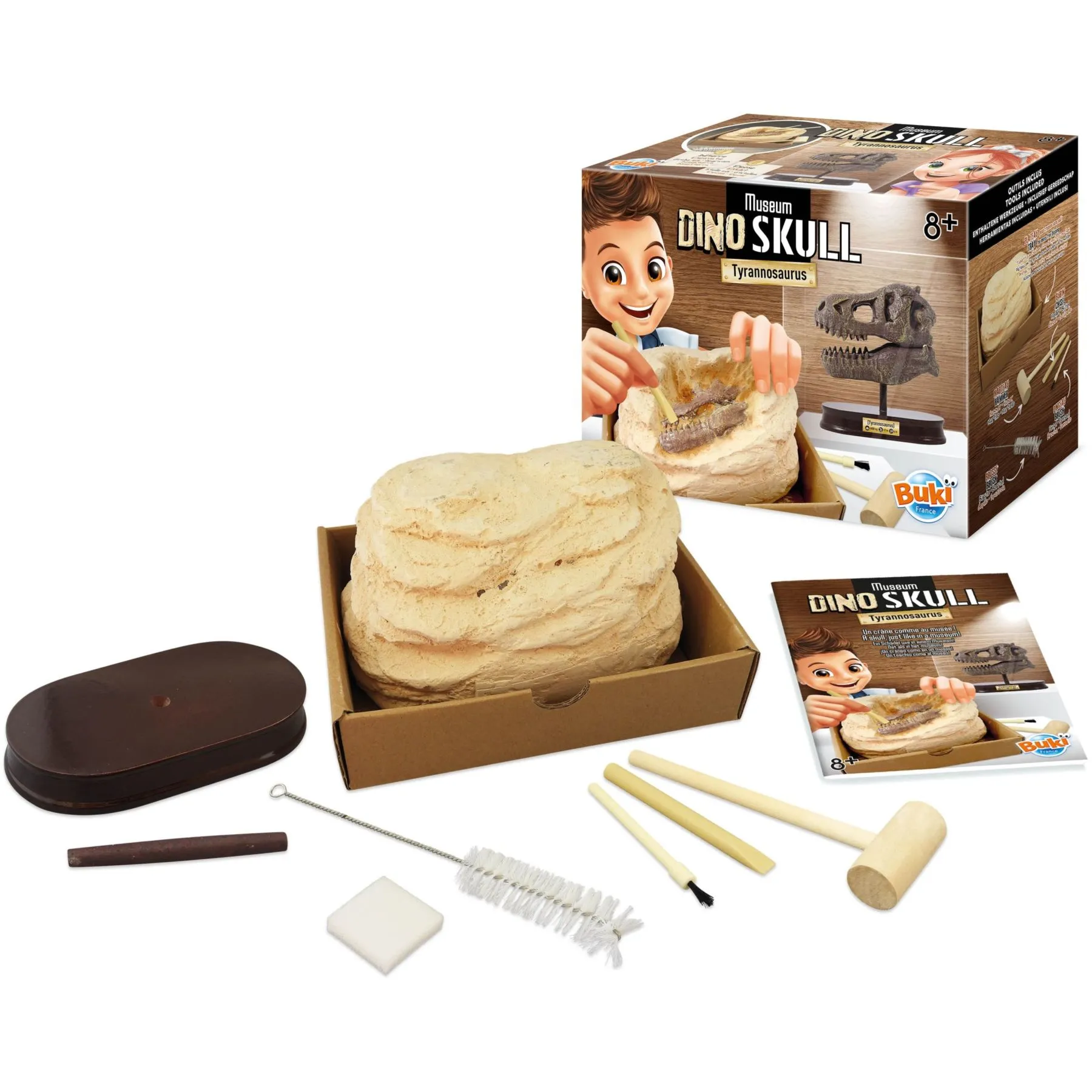 Музейний череп динозавра - T-Rex