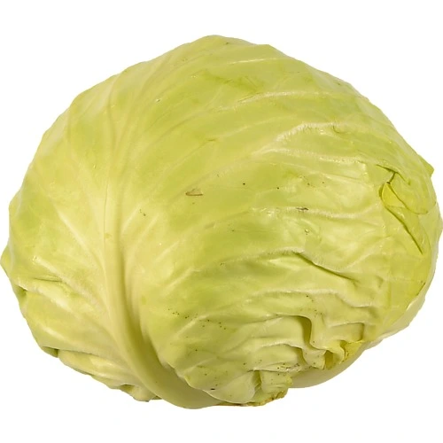 Капуста молода Україна