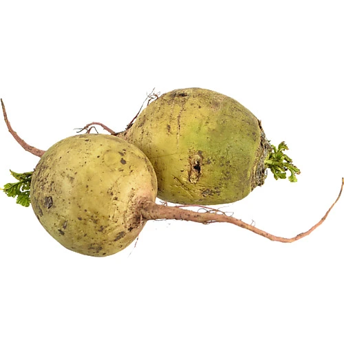 Редька маргеланська