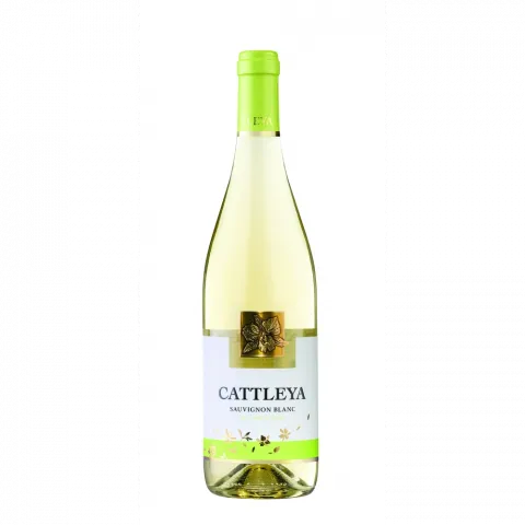Вино CATTLEYA Совіньйон Блан сухе біле 13 Молдова